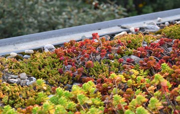 the cost of Hardstoft Common green roof installation
