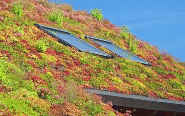 Hardstoft Common living roof systems