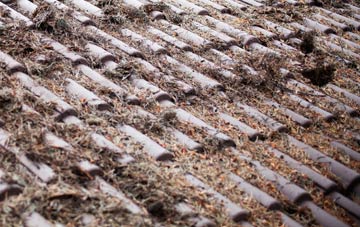 Hardstoft Common roof cleaning companies