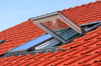 Hardstoft Common roof window